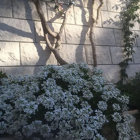 Appartamento Pera Hvar Town