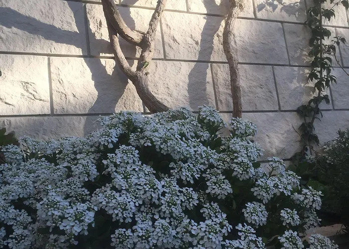 شقة Pera هفار